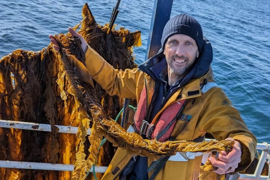 BioMara makes splash with marine ingredient