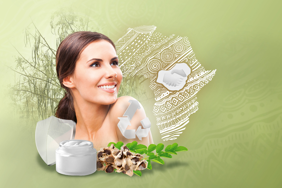 Upcycled moringa seeds for skin protection