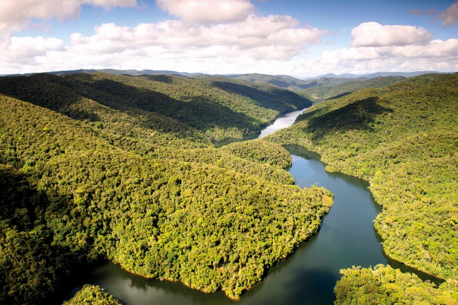 IFF forges Brazilian ‘forest lab’ partnership
