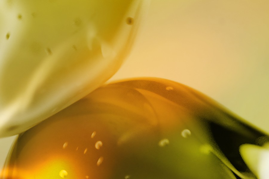 Eurofragance launches upcycled olives captive ingredient