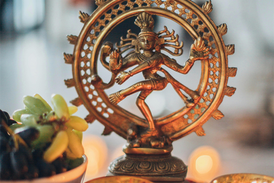 Bakuchiol  NAD+ ester: a dance of youth and longevity