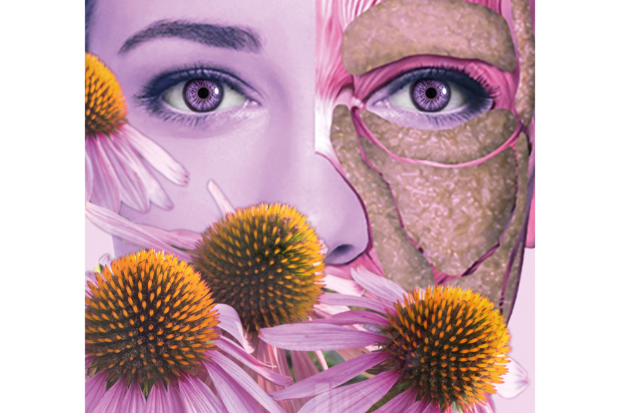Adipogenesis: countering contemporary facial sagging