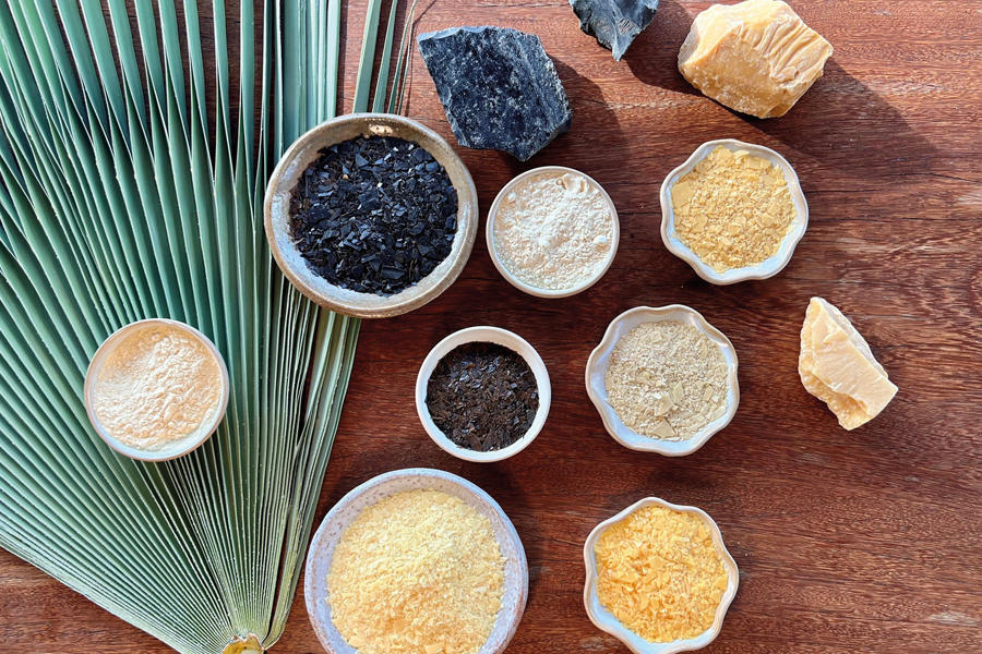 Regenerative extractivism and carnauba wax