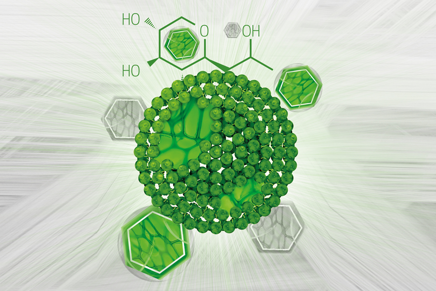 Peptide delivery supporting skin resilience