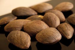 Sustainable pracaxi for the cosmetic industry