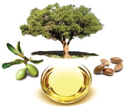 Nourishment for skin and hair