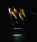 New results reveal moisturising effect